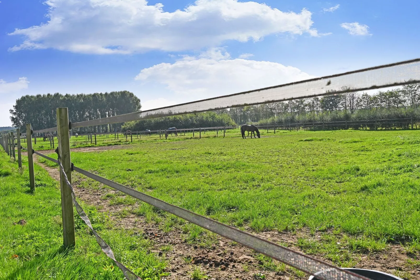 De Liemers-Areas summer 1km