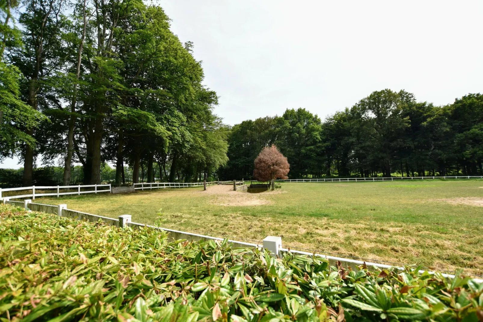 De Liemers-View summer