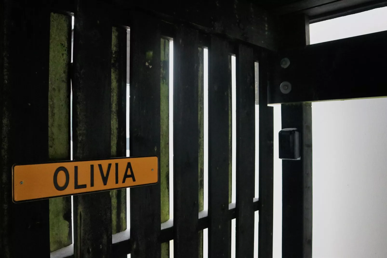 Huisje Winterberg "Olivia"-Terrace balcony