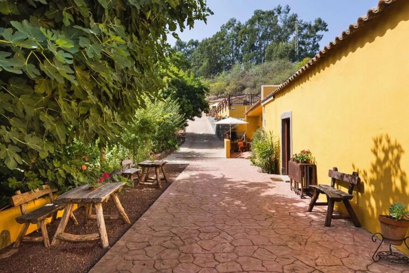 Finca Naturacanaria - Casa Azuaje-Außenbereich Sommer
