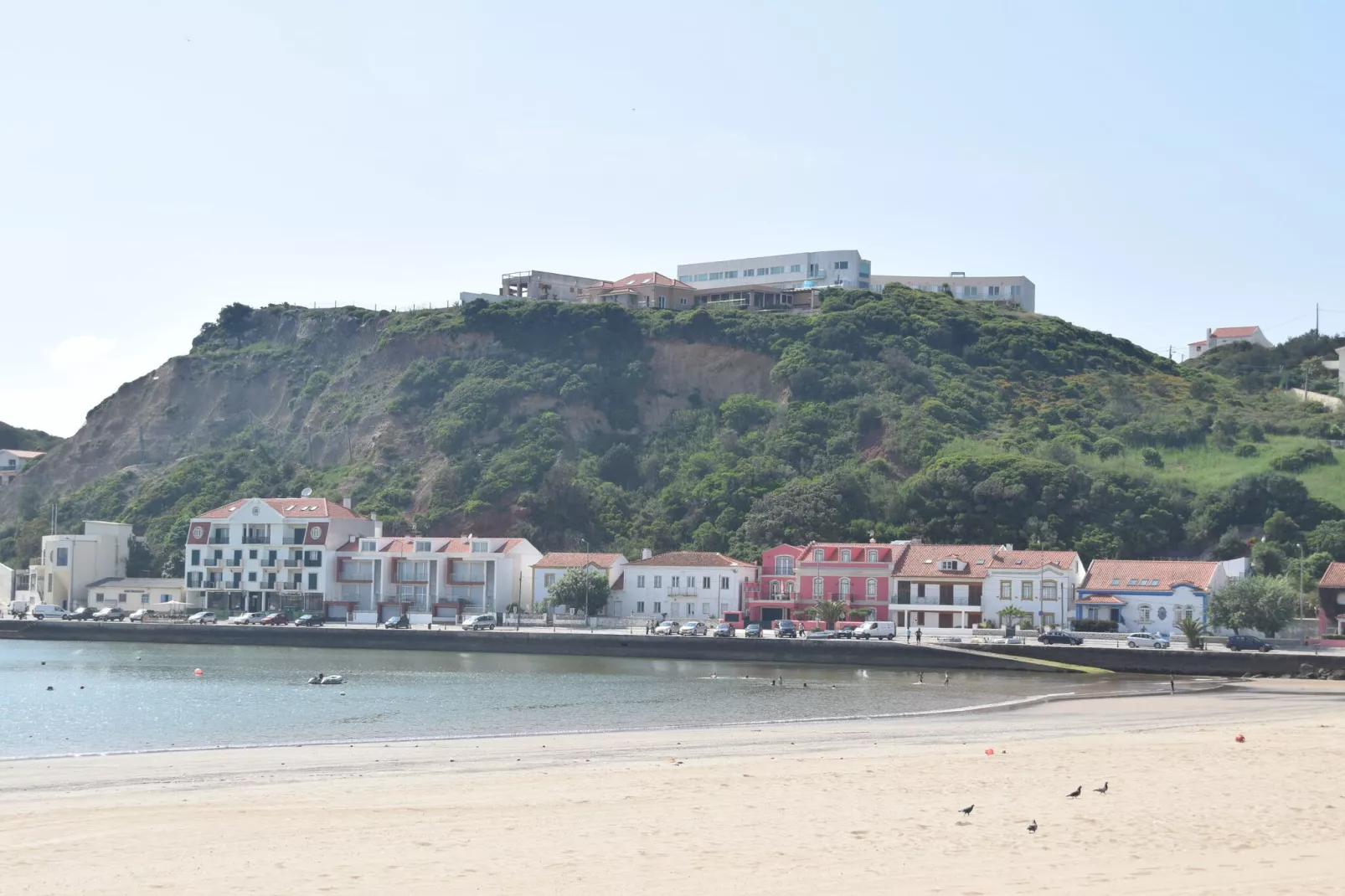 View on the Bay-Areas summer 1km