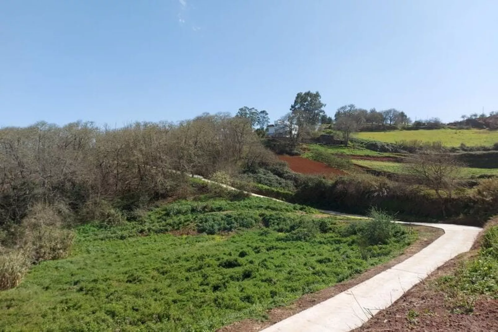 Finca Naturacanaria - Casa Azuaje-Gebiete Sommer 1 km