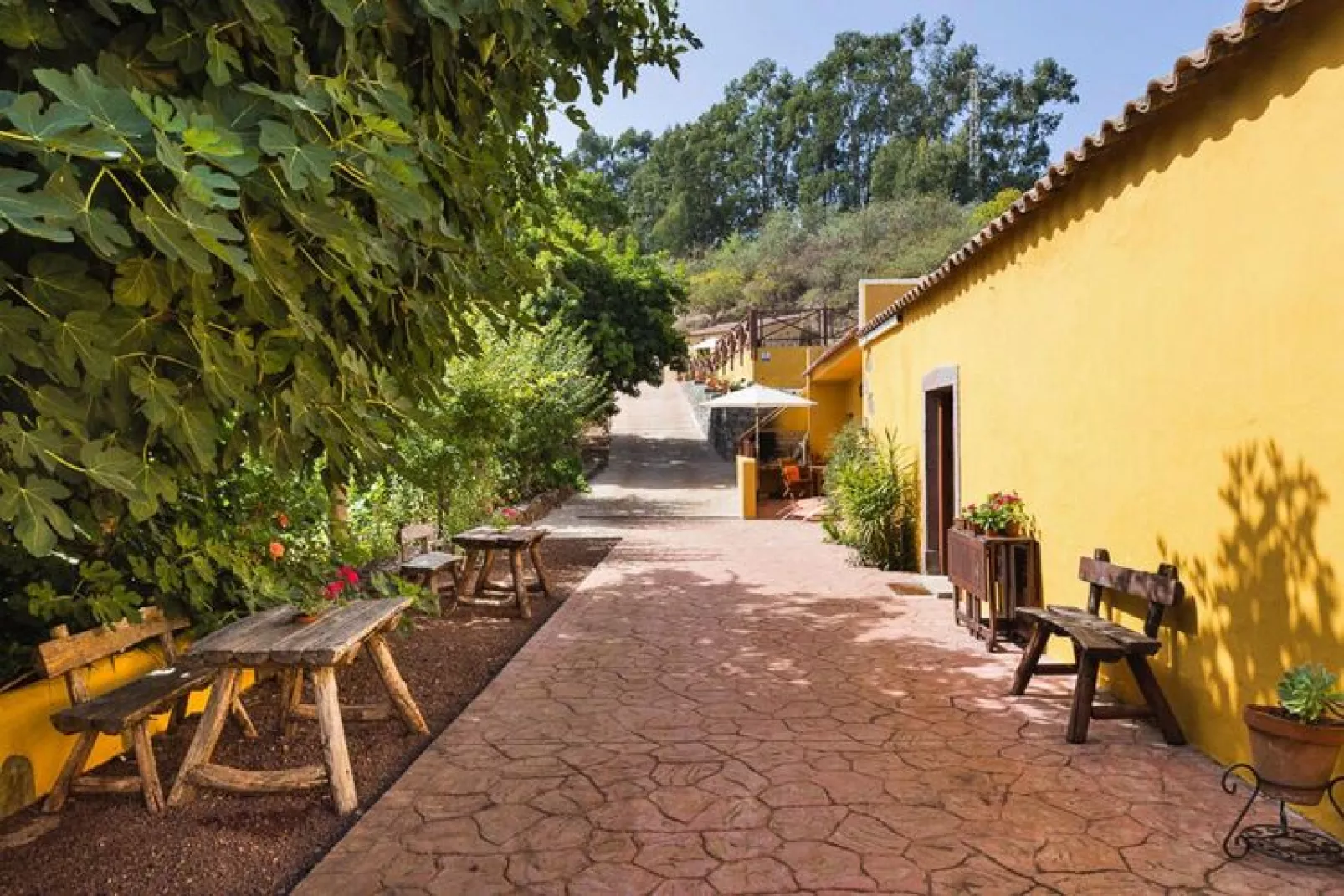 Finca Naturacanaria - Casa Las Dalias-Außenbereich Sommer