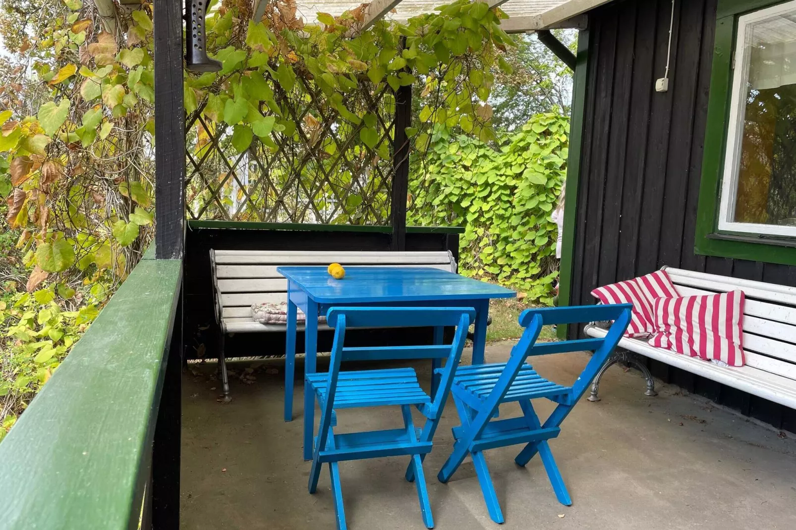 6 person holiday home in ROCKNEBY-By Traum-Outdoor