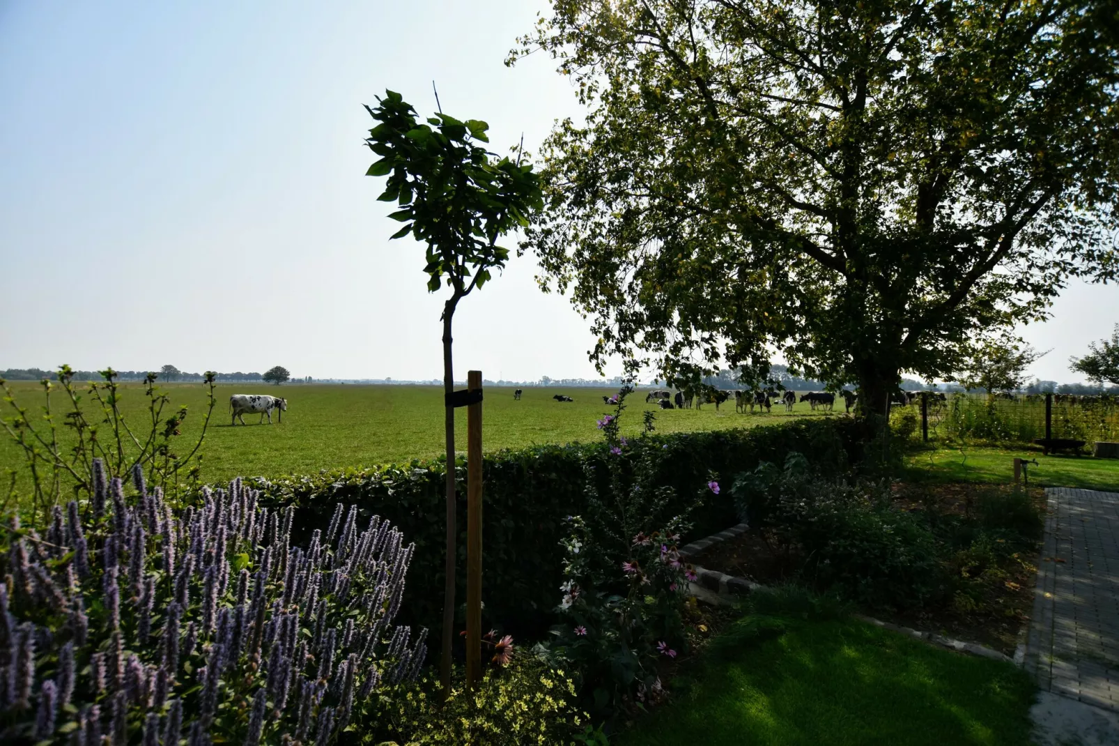 Villa Grenszicht-View summer