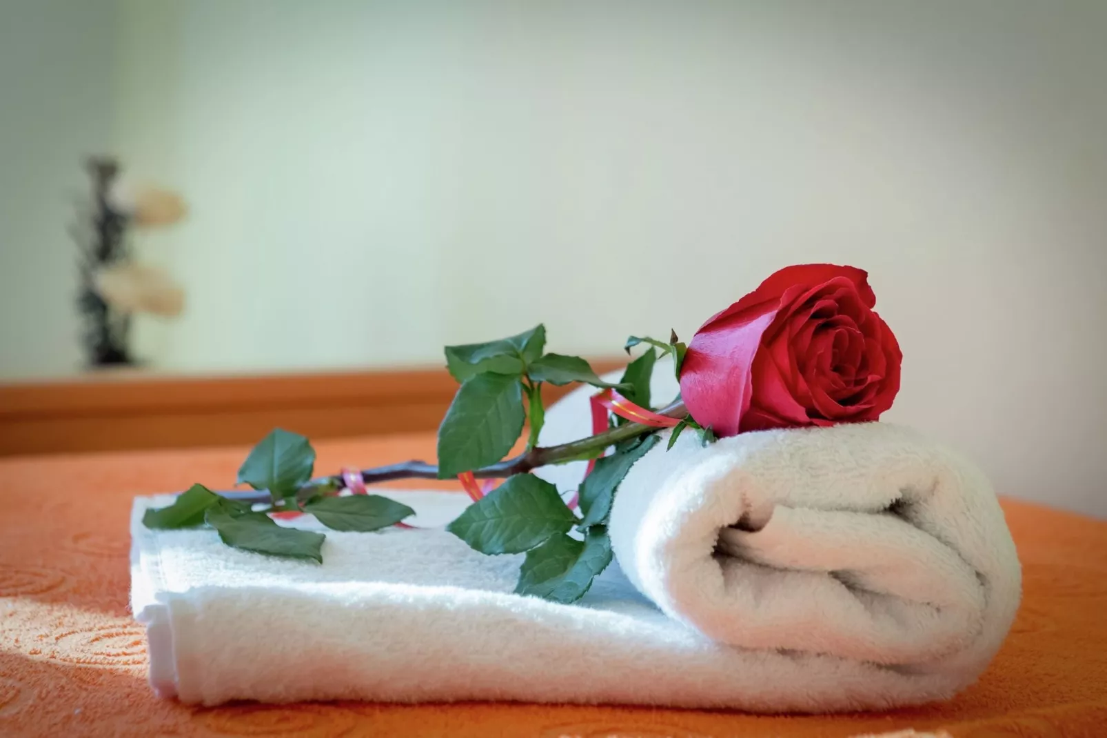 Apartment Marinely-Ambiente