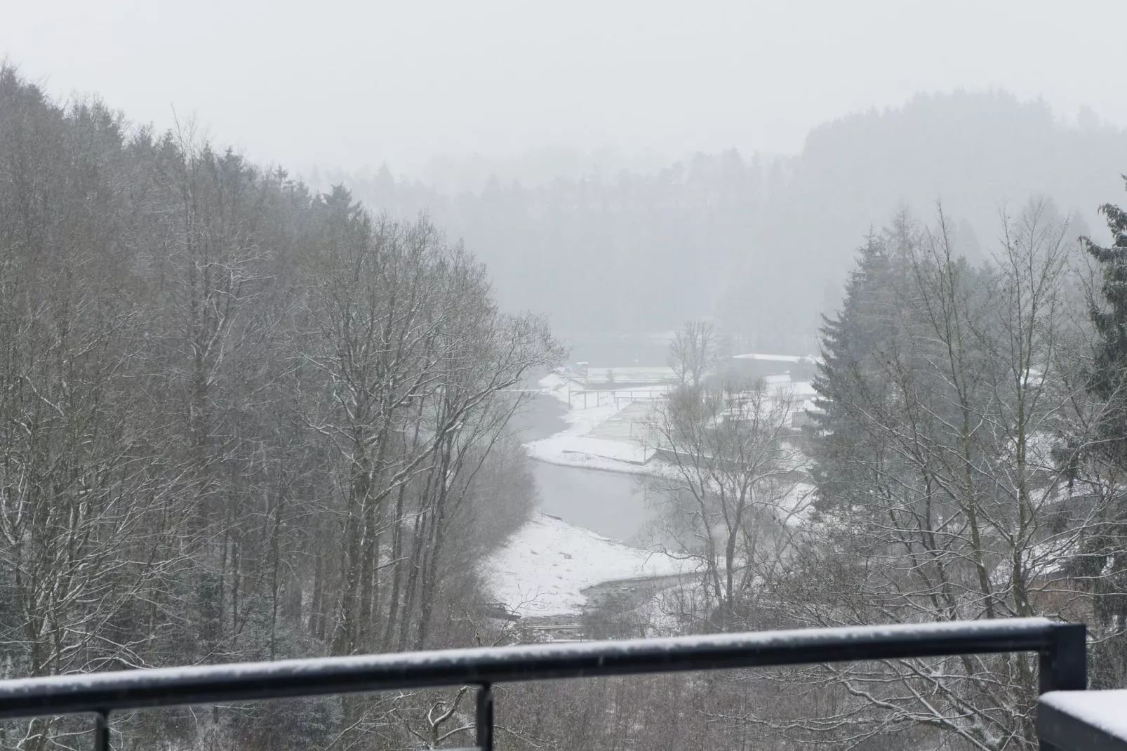 Les Jardins du Lac-Vue d'hiver