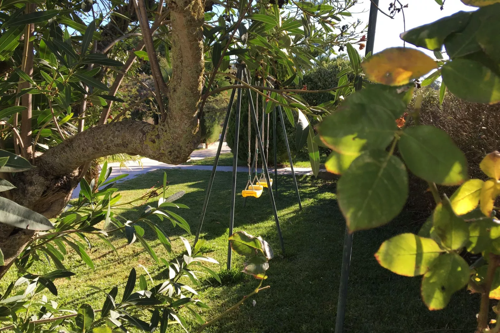 Quinta Santo António-Gardens summer