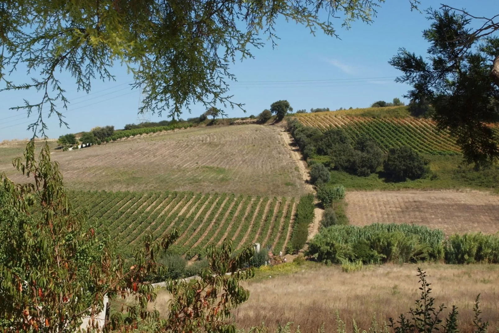 Quinta Santo António-Areas summer 1km