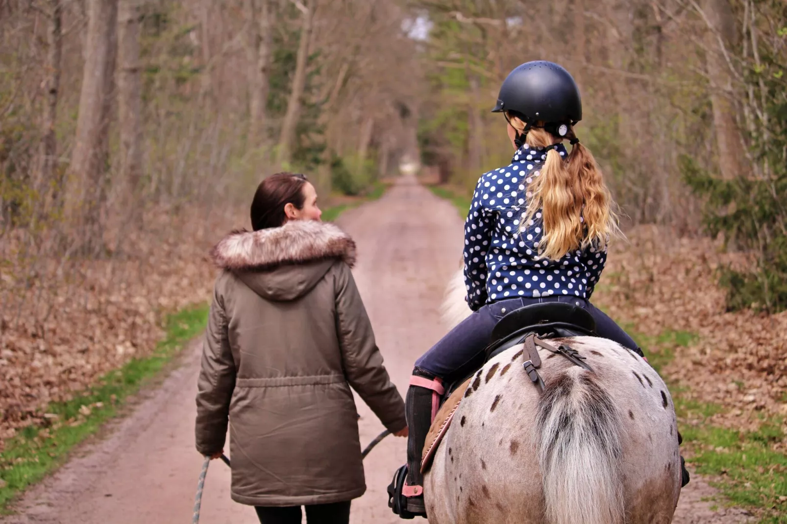 Vakantiepark Horsetellerie 1-Parkeinrichtungen