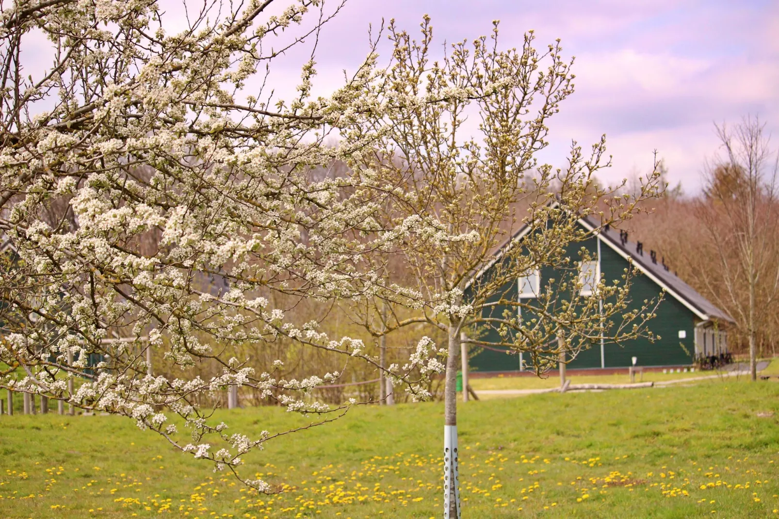 Vakantiepark Horsetellerie 4-Außenbereich Sommer
