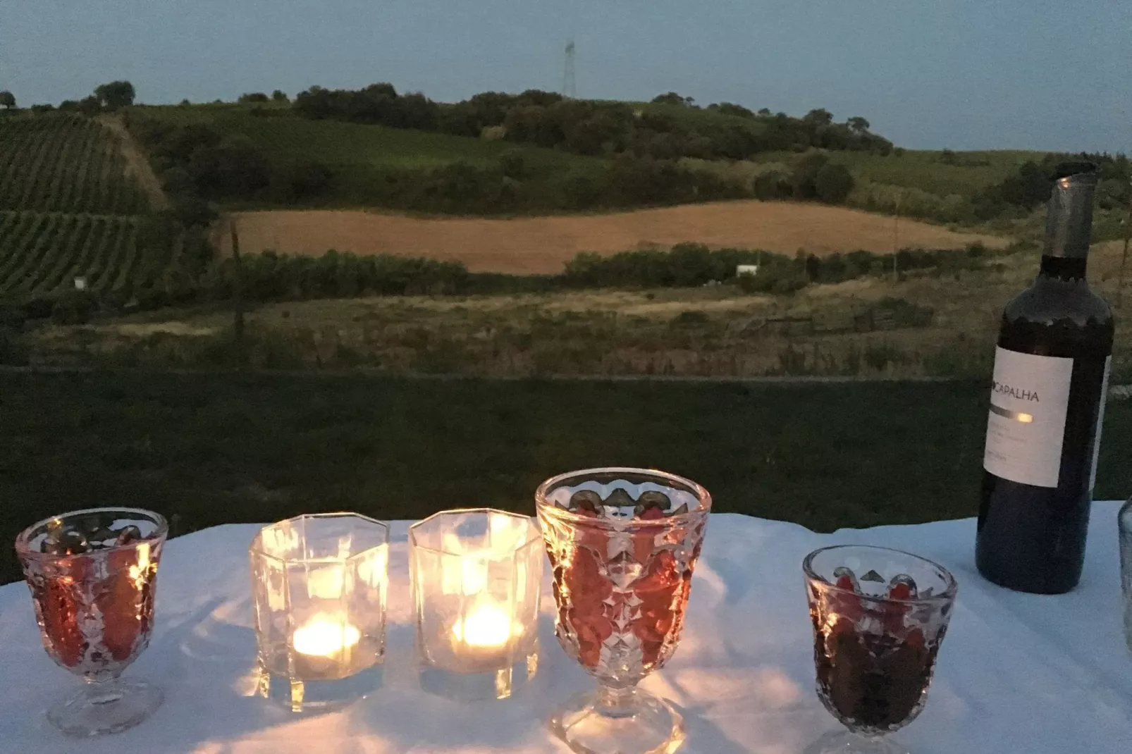 Quinta Santo António-Ambiance