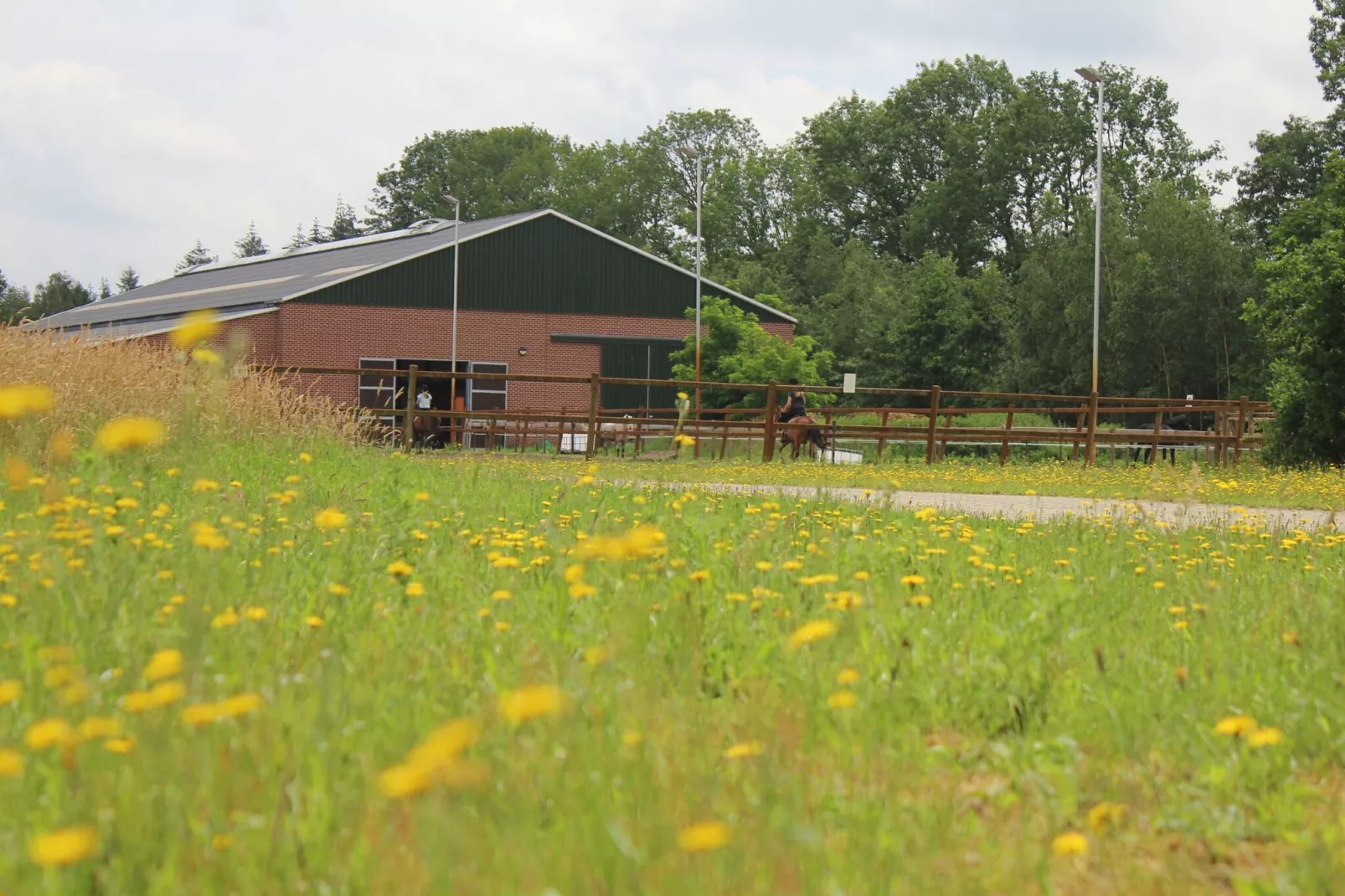 Vakantiepark Horsetellerie 7-Gebiete Sommer 1 km