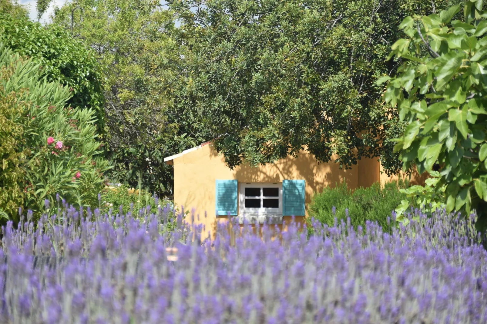 Quinta Amarela XXL-Außenbereich Sommer