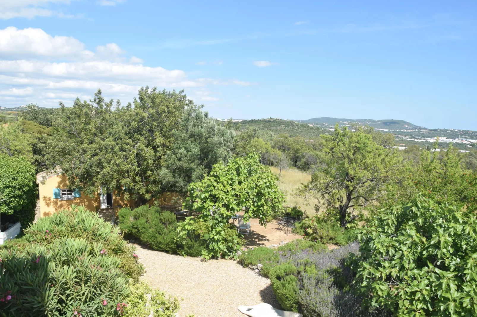 Quinta Amarela XXL-Aussicht Sommer