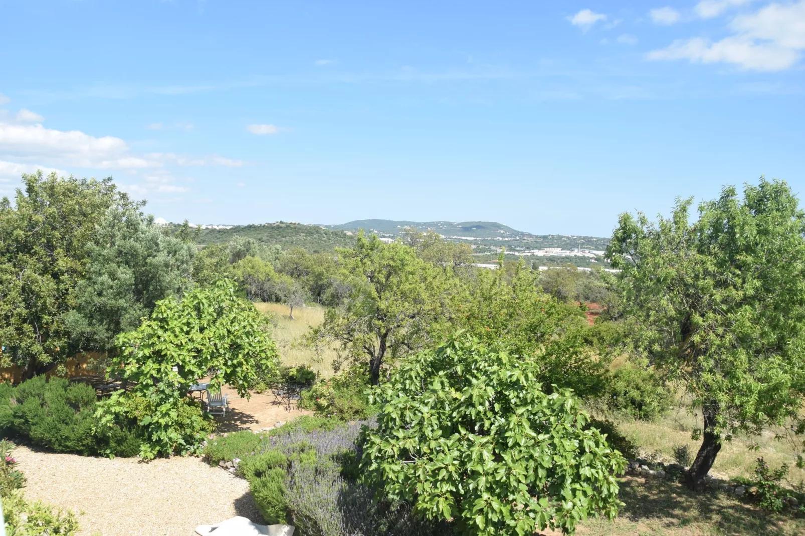 Quinta Amarela XXL-Gebiete Sommer 1 km