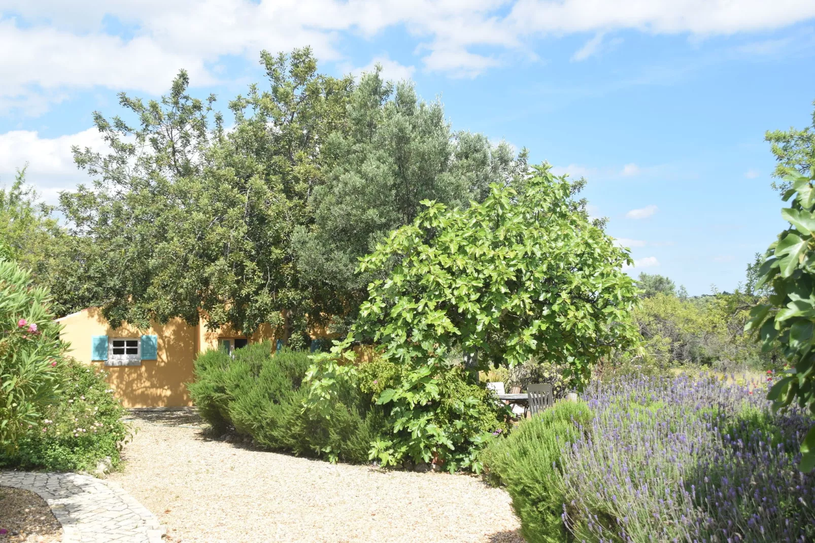 Casa Amarela-Außenbereich Sommer