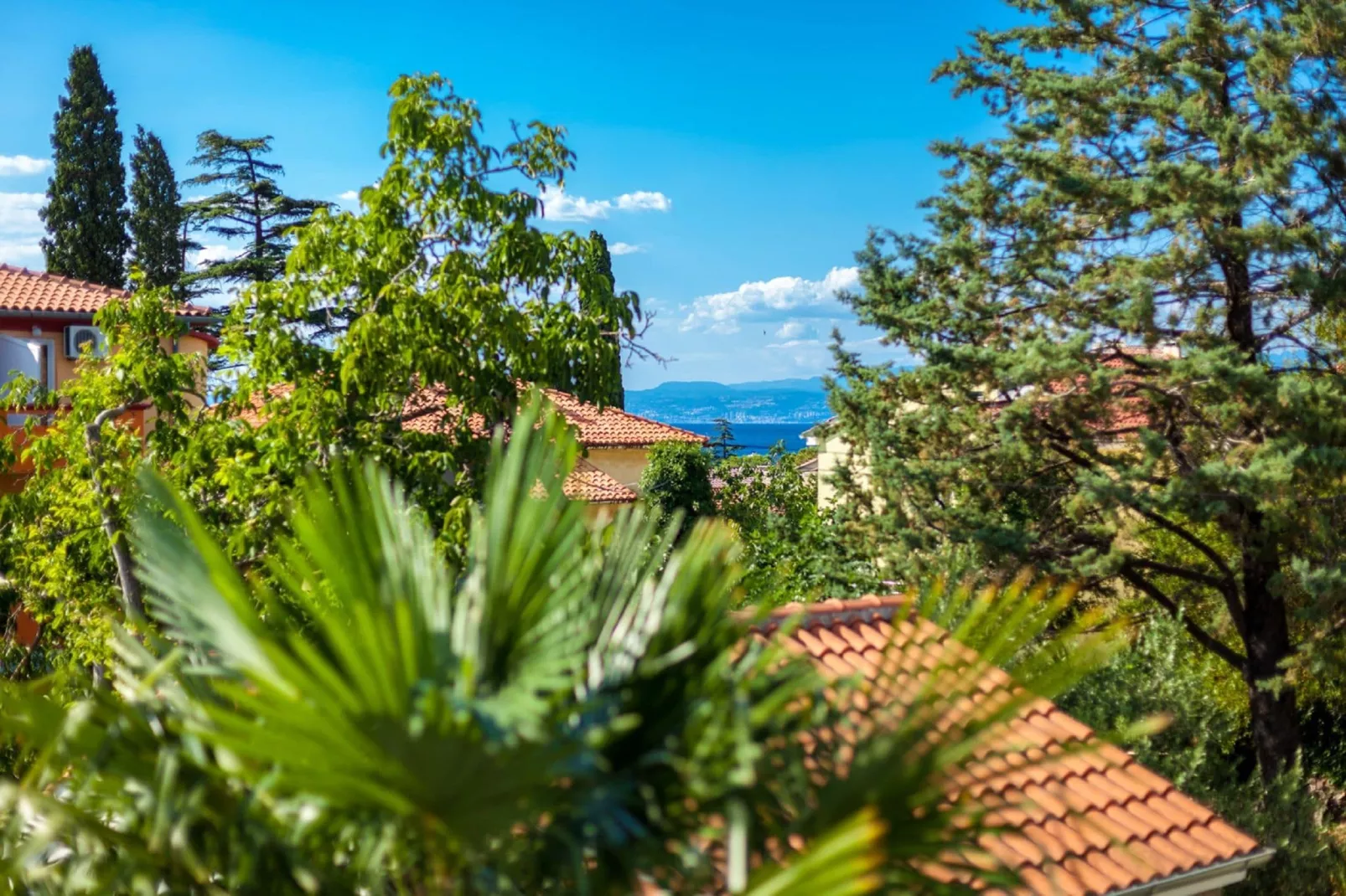 Apartment Marija-View summer