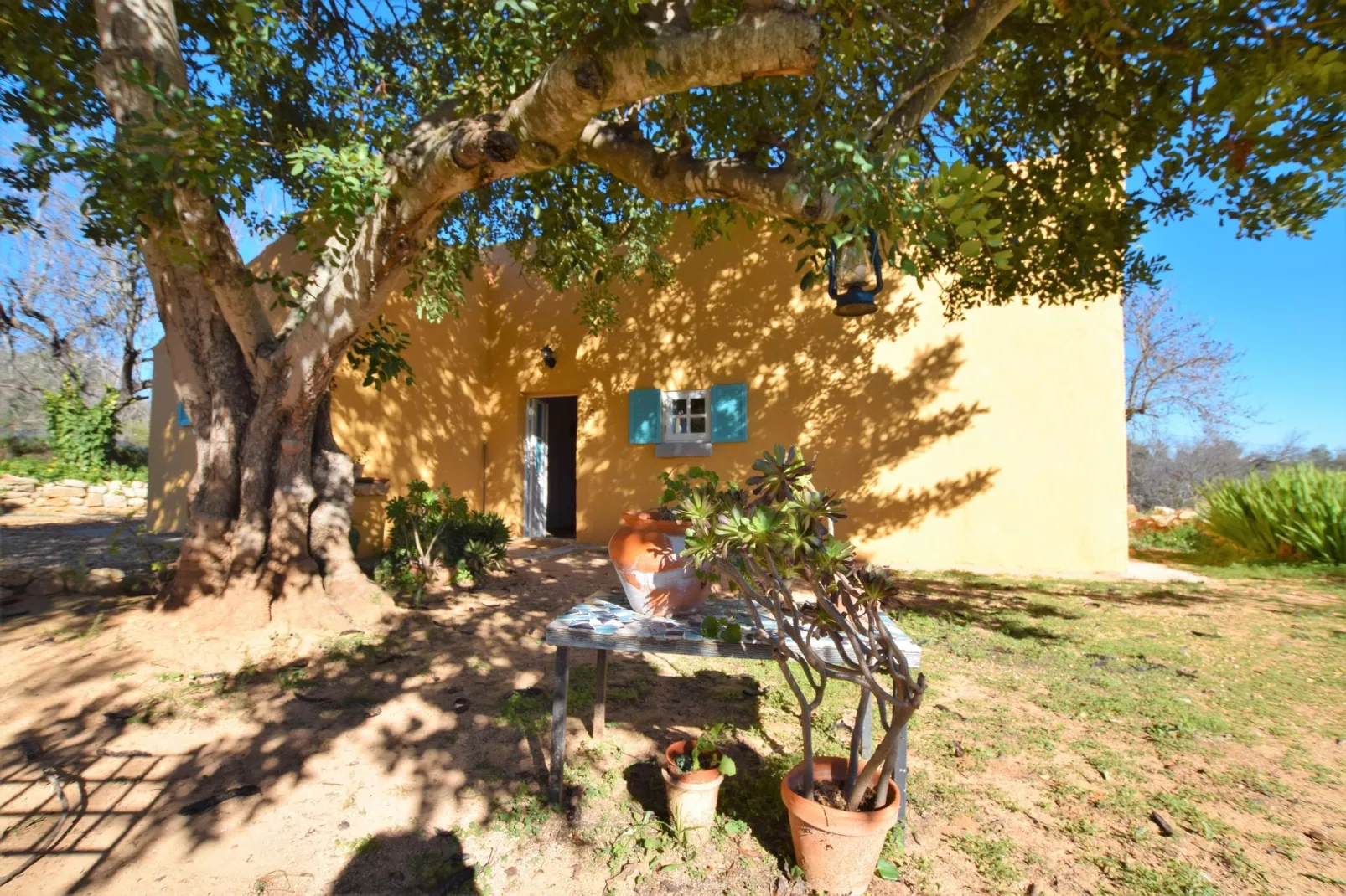 Casa Amarela-Außenbereich Sommer