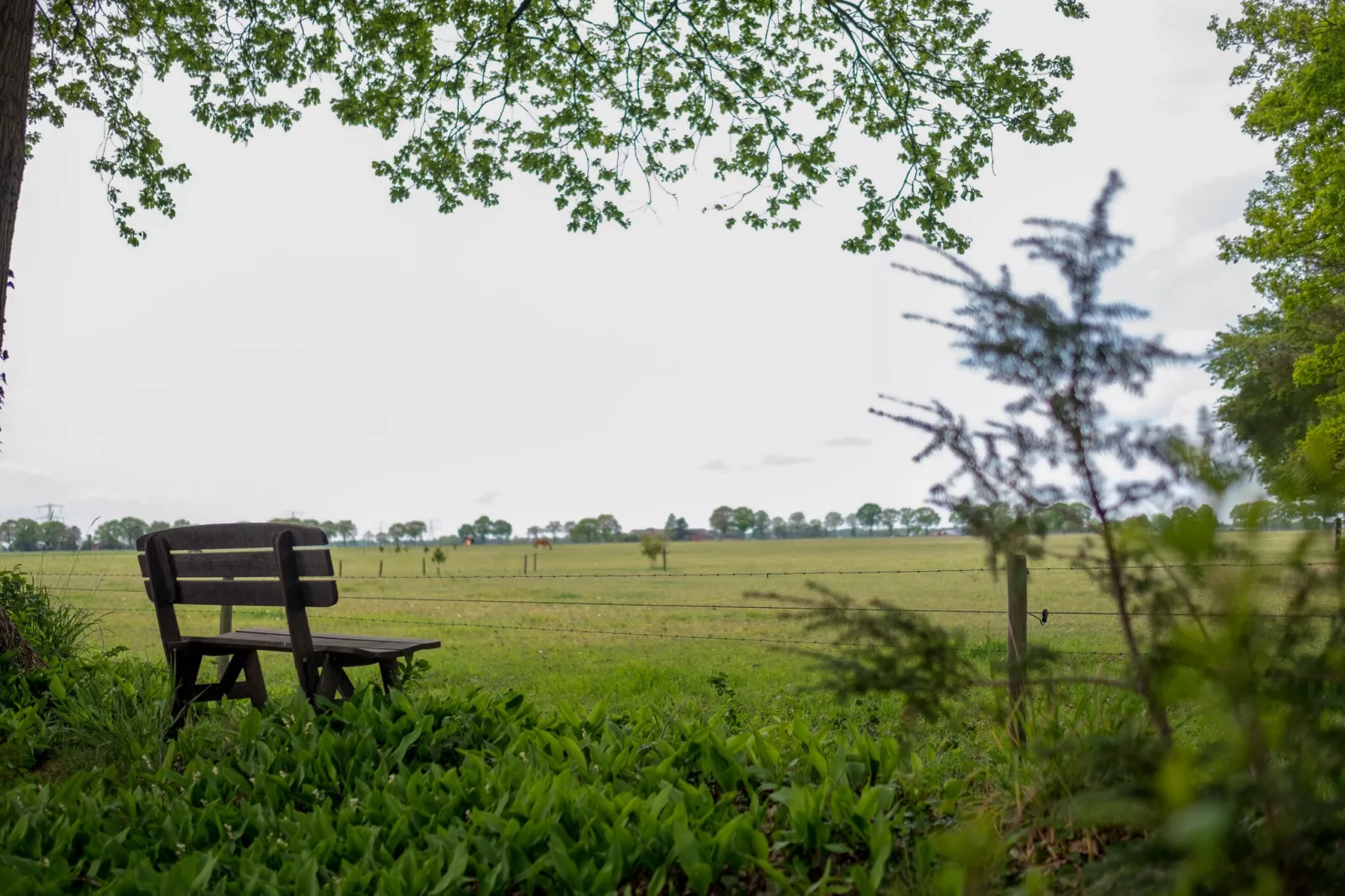 Buitenplaats Berg en Bos nummer 13-Jardin d'été
