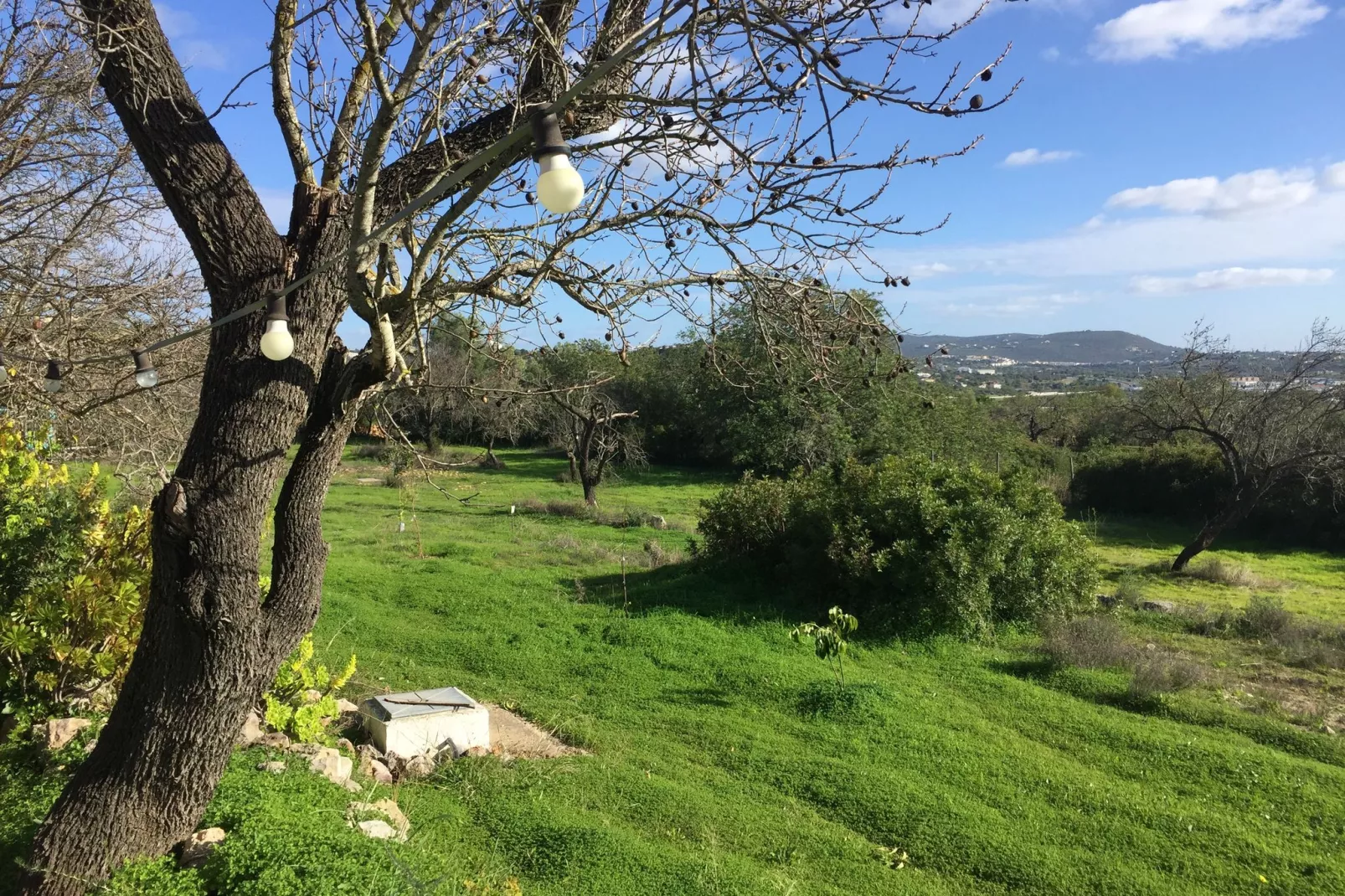 Casa Amarela-Gärten Sommer