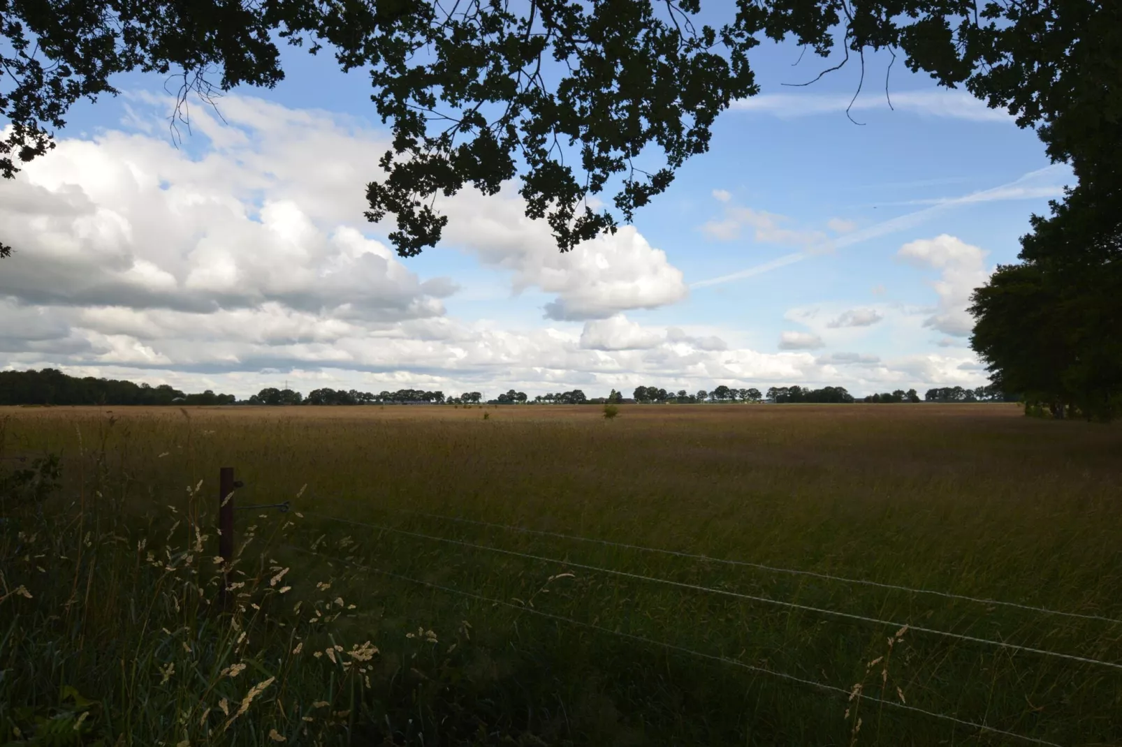 Buitenplaats Berg en Bos nummer 13-Vue d'été