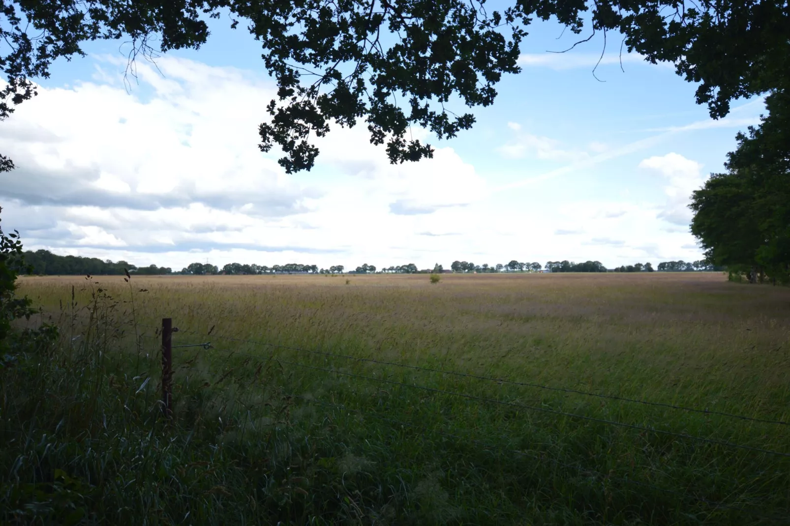 Buitenplaats Berg en Bos nummer 13-Vue d'été