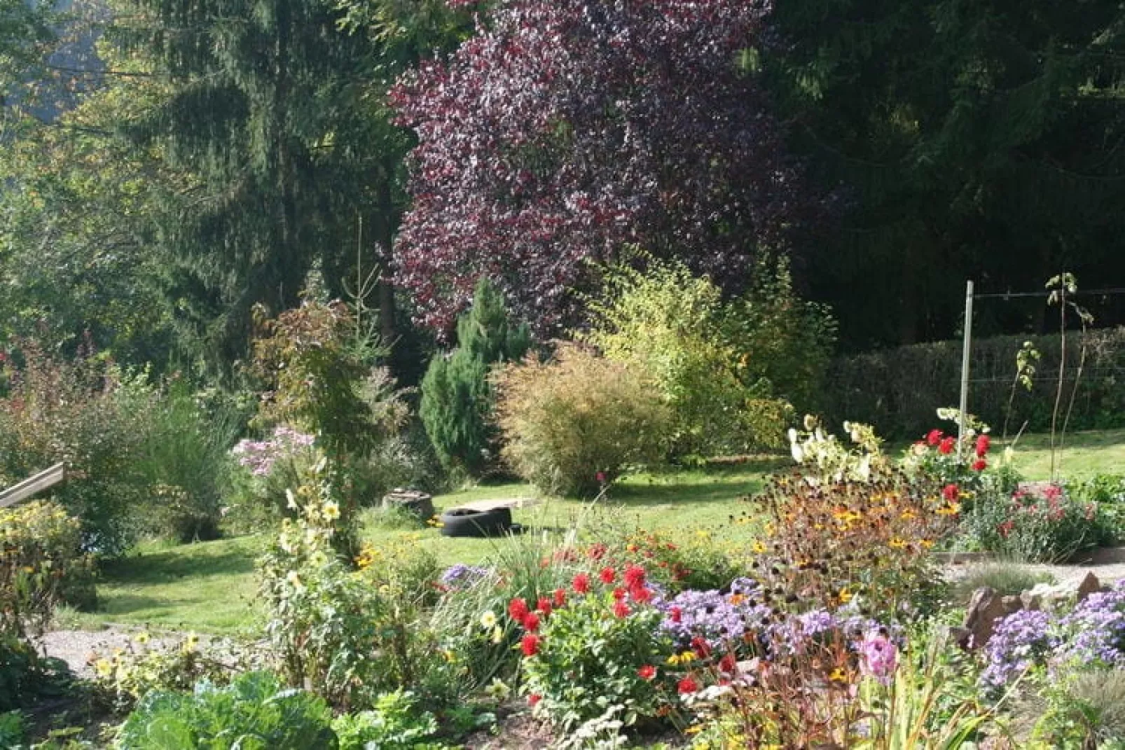 Am Wald-Gardens summer