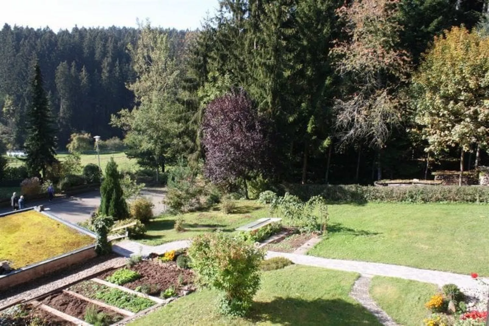 Am Wald-Gardens summer
