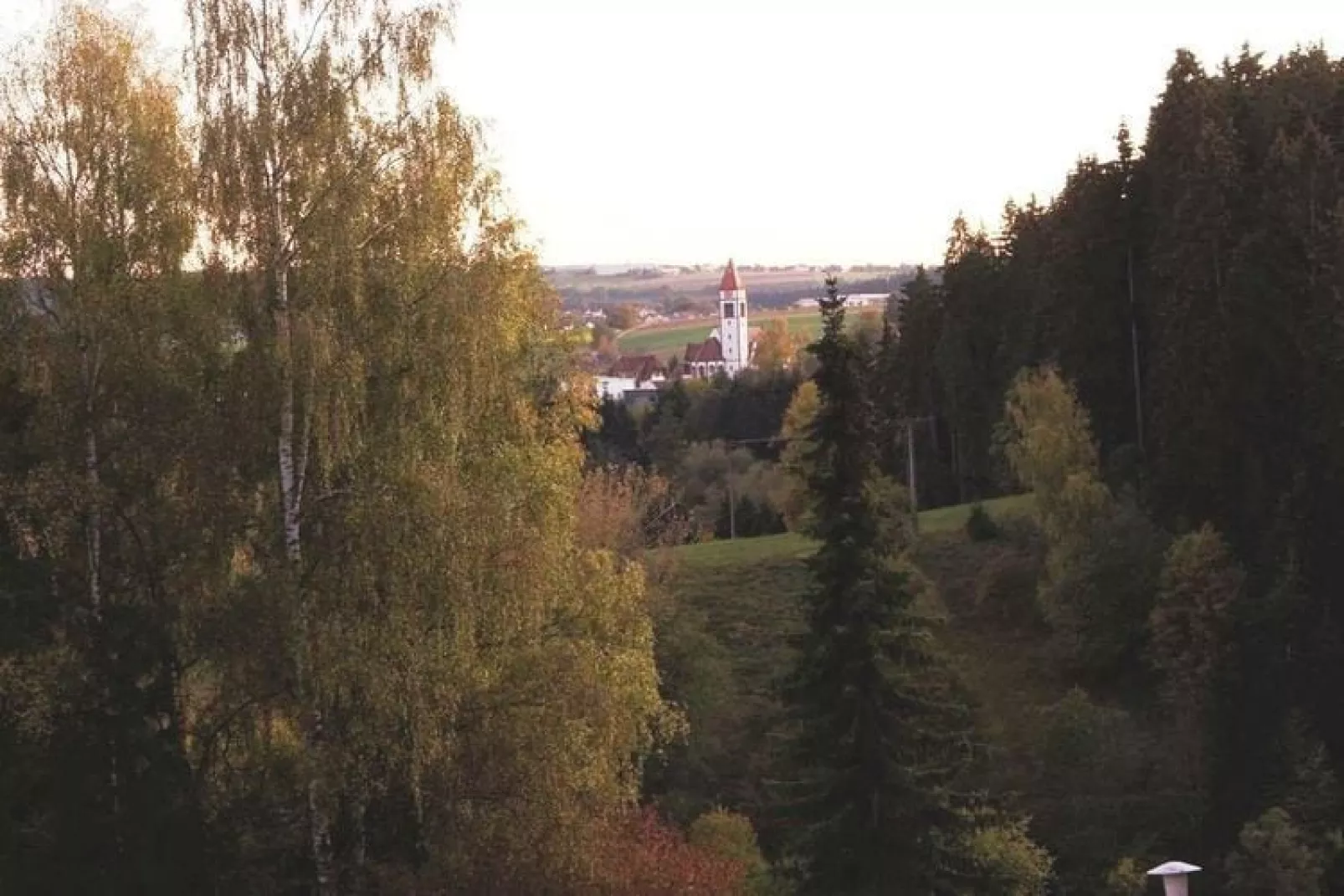 Am Wald-View summer