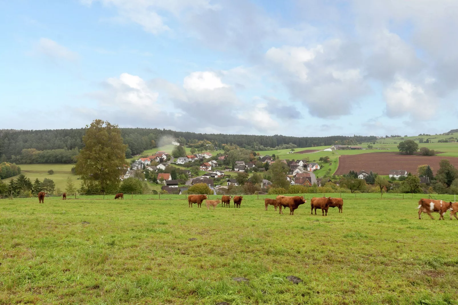 Am Wald-Areas summer 1km