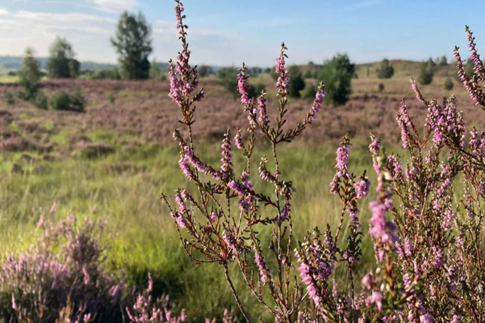 Buitenplaats Berg en Bos nummer 4-Areas summer 5km