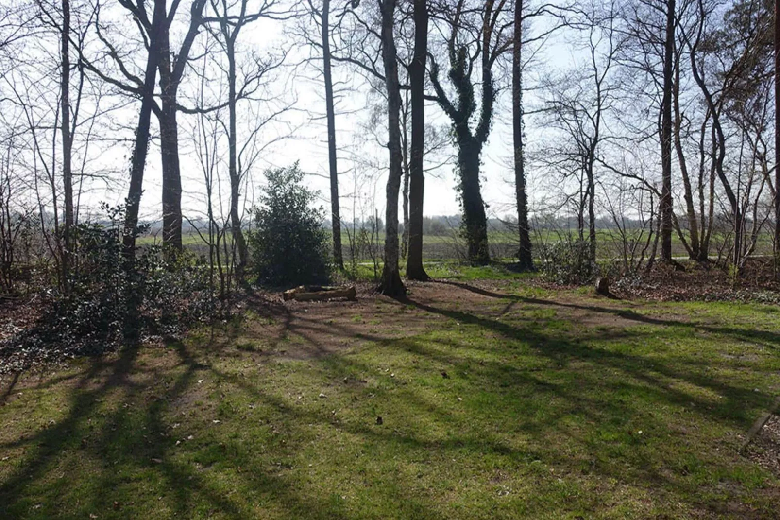 Buitenplaats Berg en Bos nummer 4-Garden winter