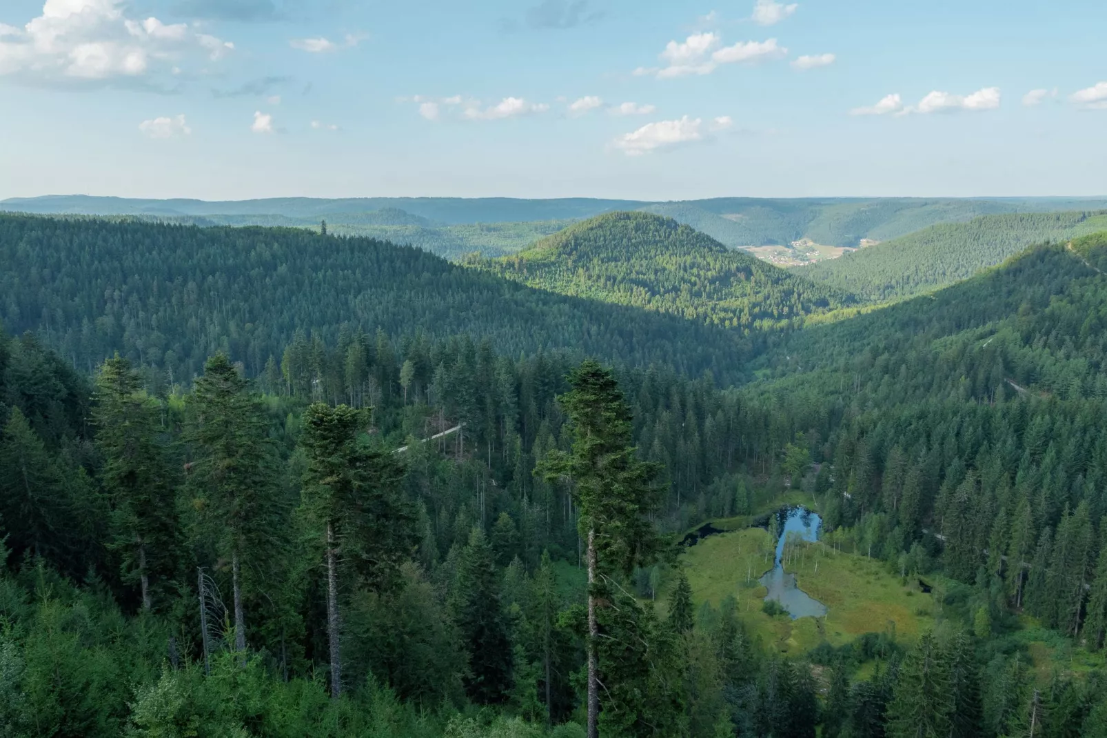 Kniebis-Areas summer 1km