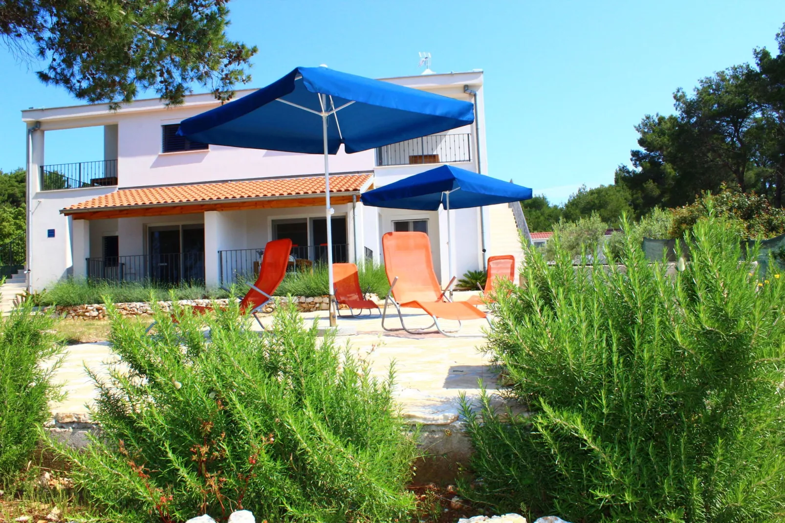 Gorgonia S2-Exterior summer
