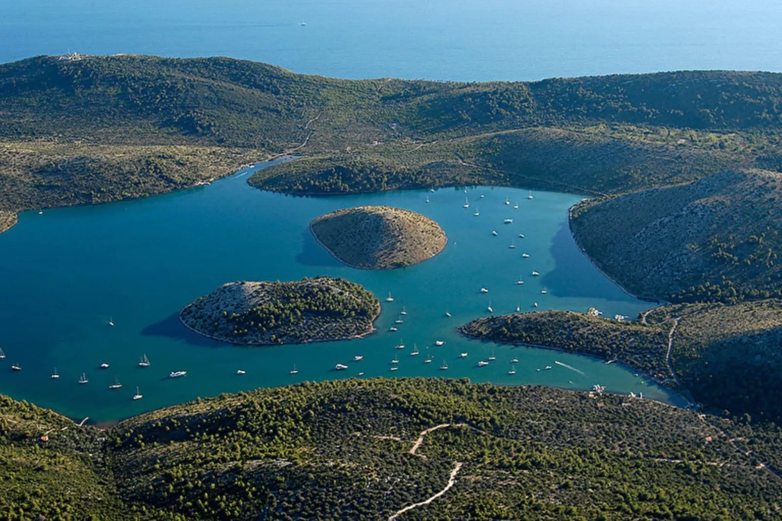 Gorgonia S3-Areas summer 20km