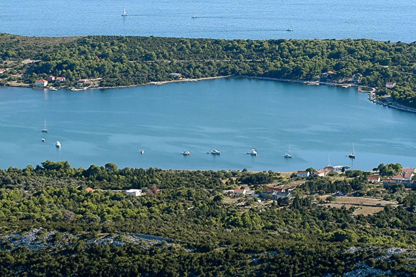 Gorgonia S4-Areas summer 1km