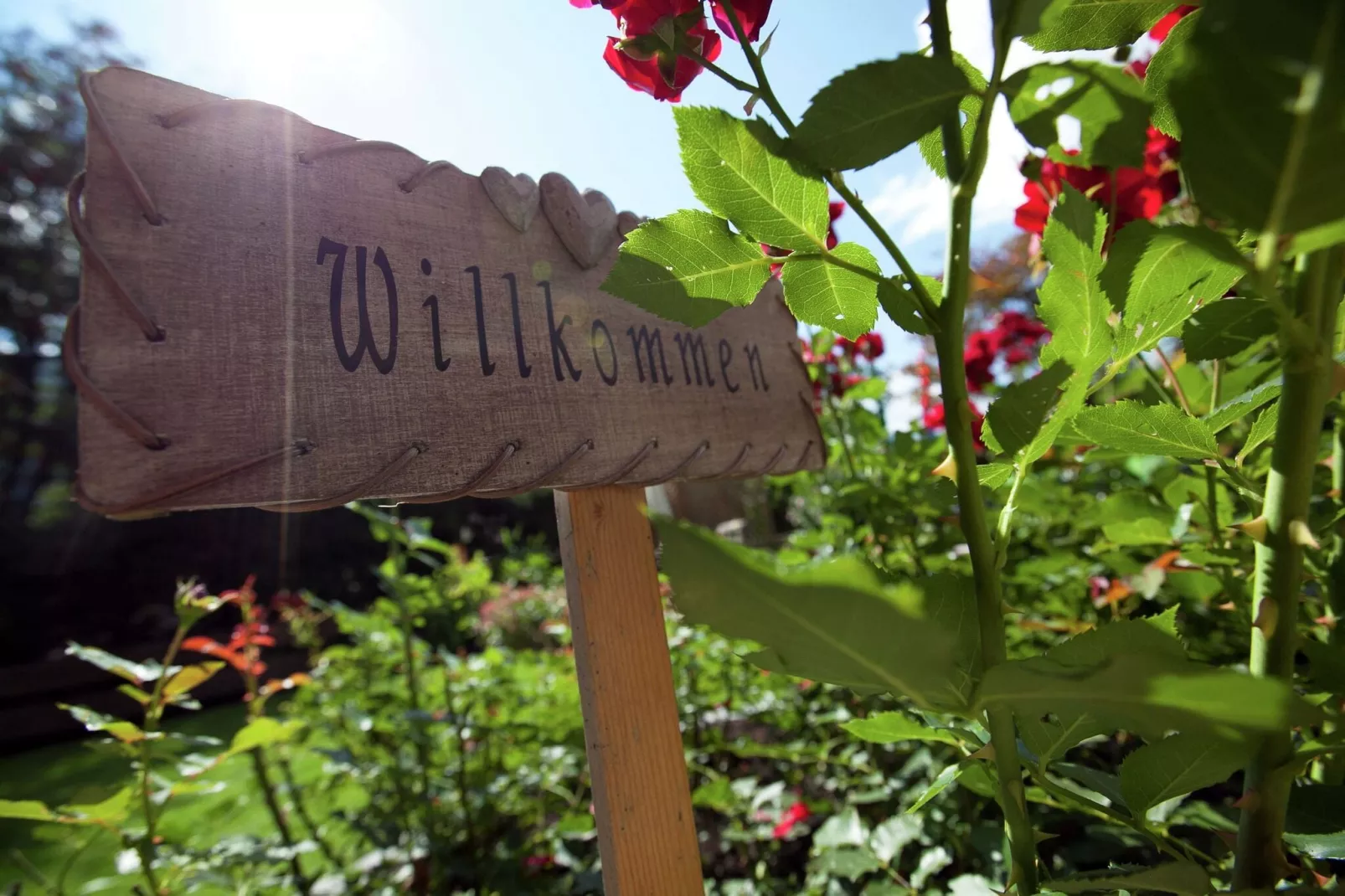 Ferienwohnung Nindl-Gardens summer