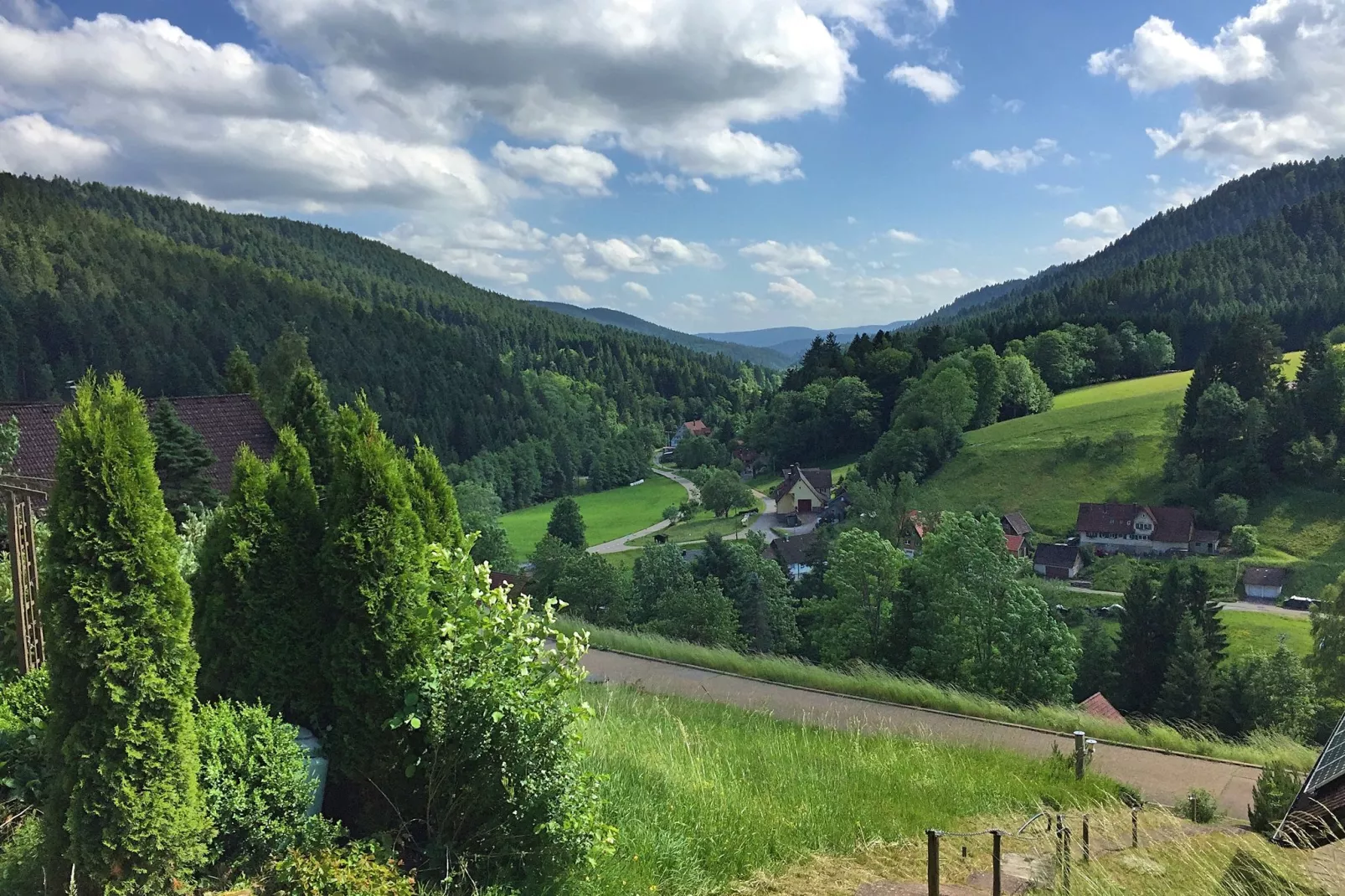 Schwarzwald-View summer