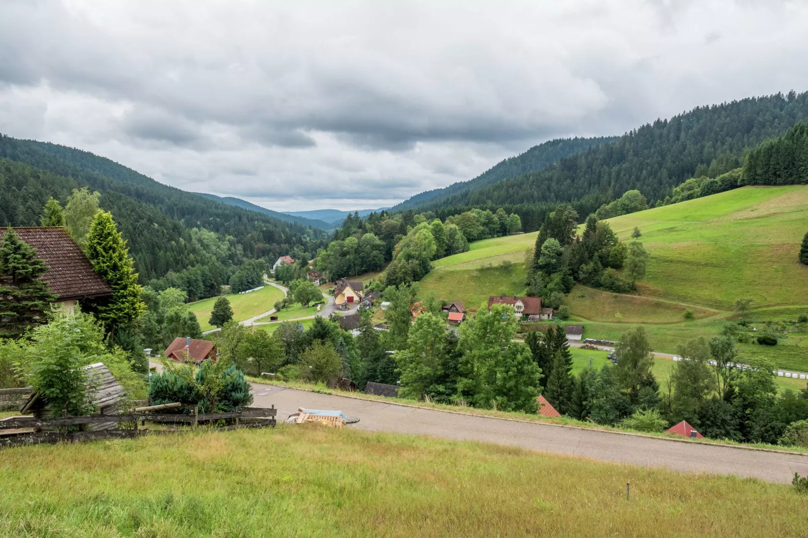 Schwarzwald-View summer