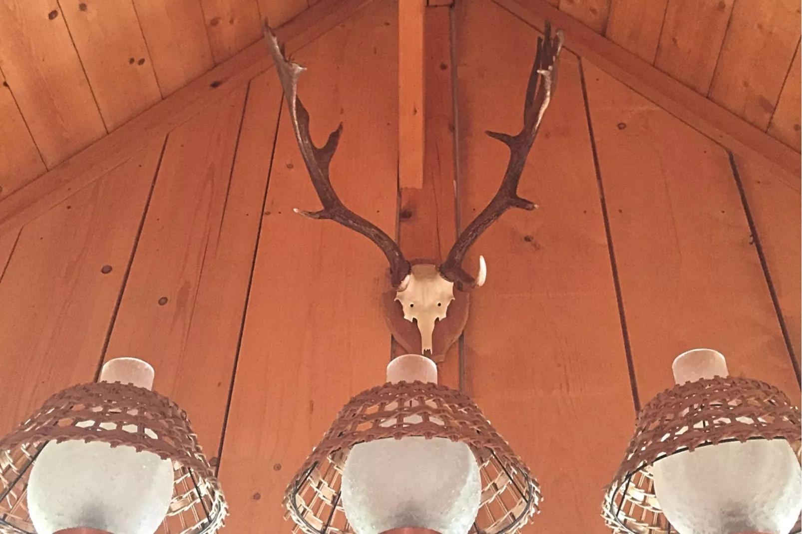 Schwarzwald-Living room