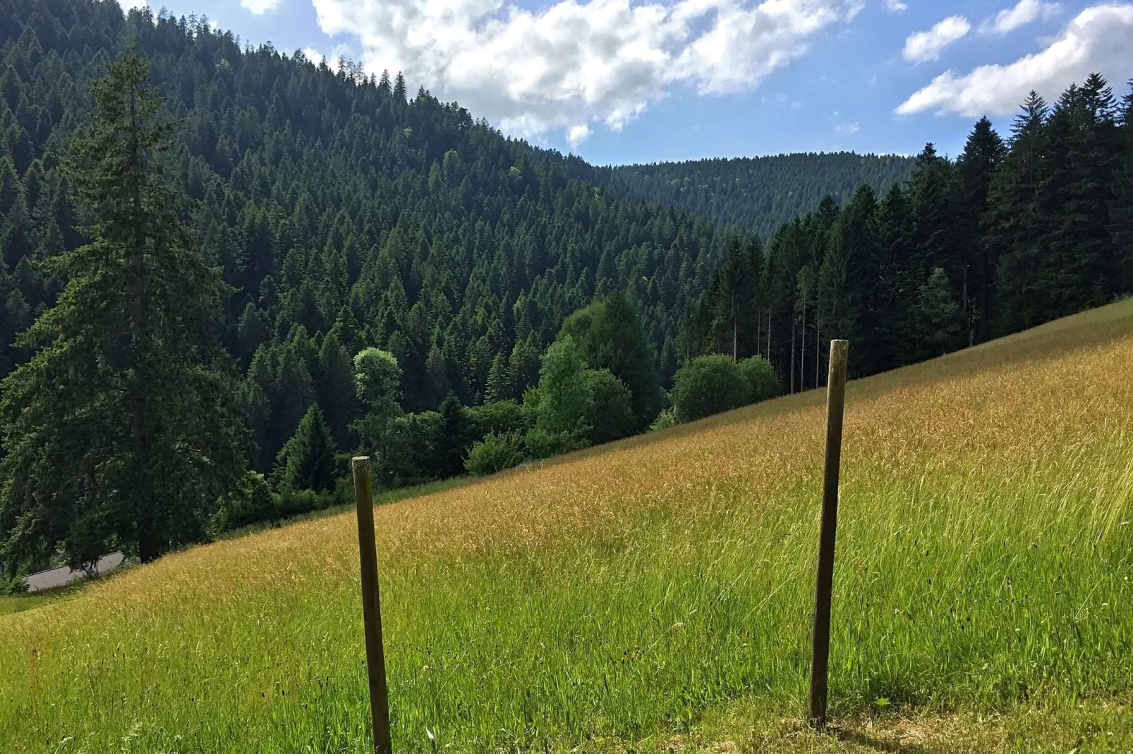 Schwarzwald-Gardens summer
