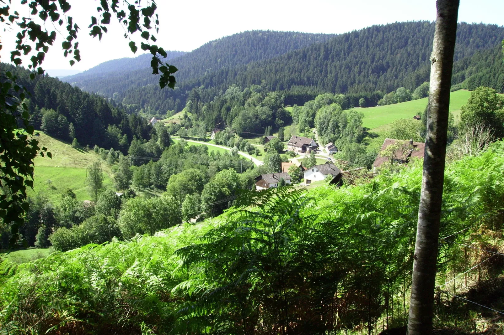 Schwarzwald-Areas summer 1km