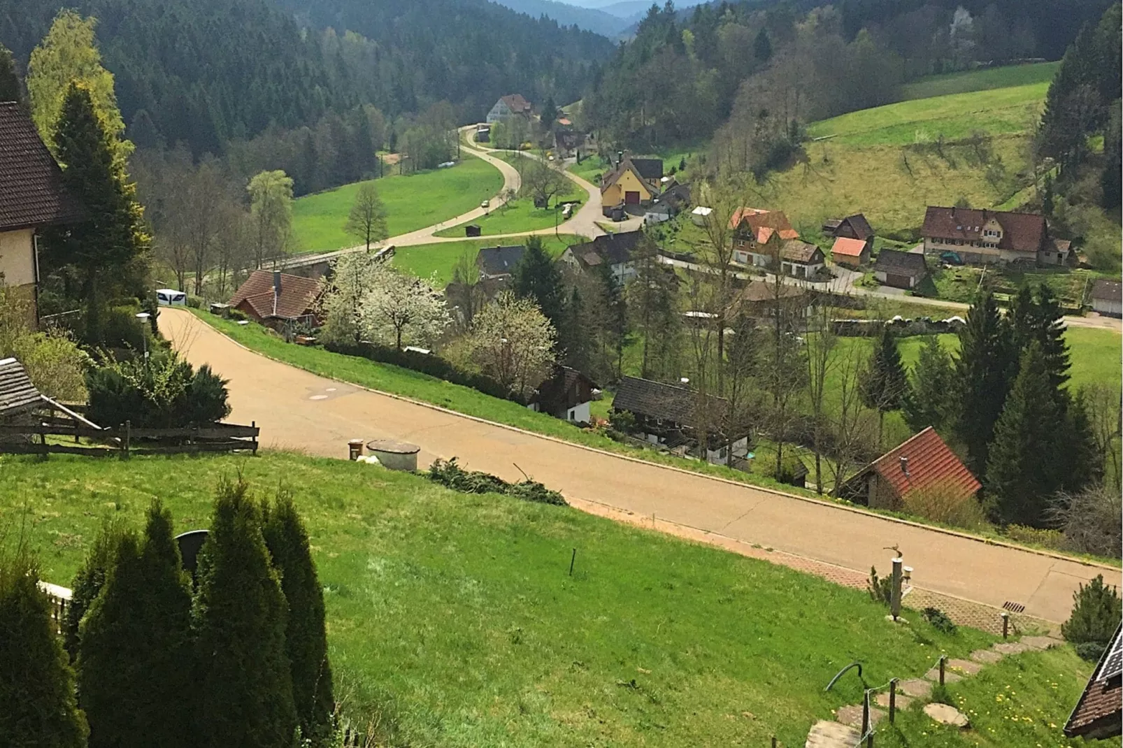 Schwarzwald-Areas summer 1km
