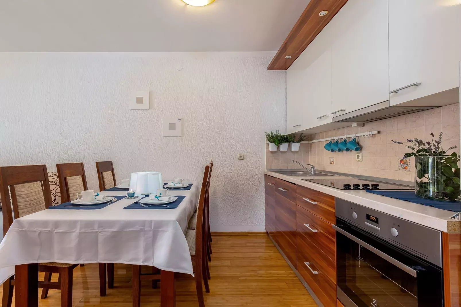 Marija Privatno 3-Kitchen