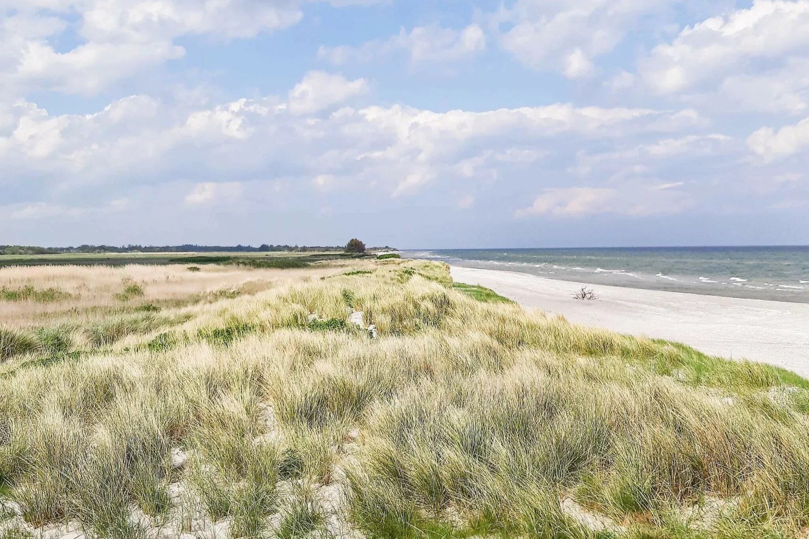 12 person holiday home in Sæby-By Traum-View