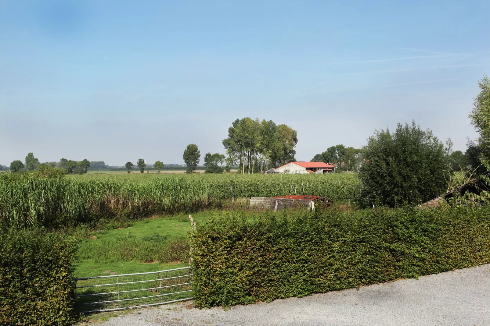 Appartement De Dorsvloer-View summer