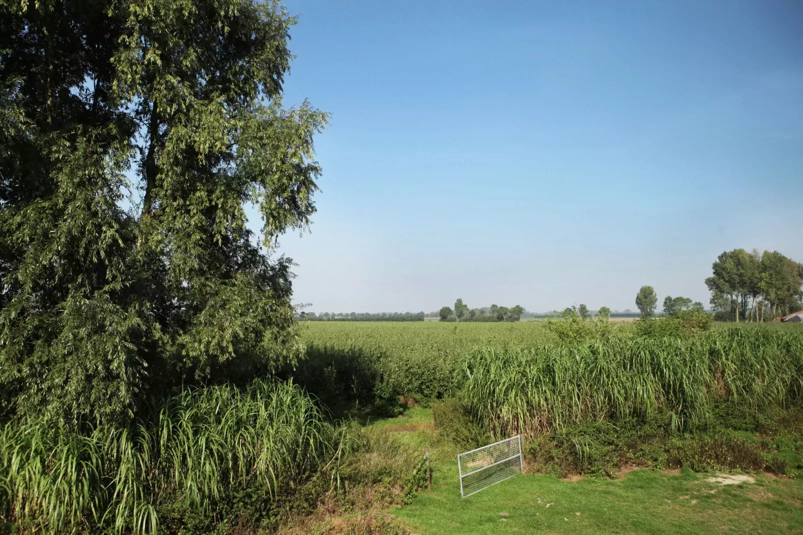 Appartement De Hooizolder-View summer