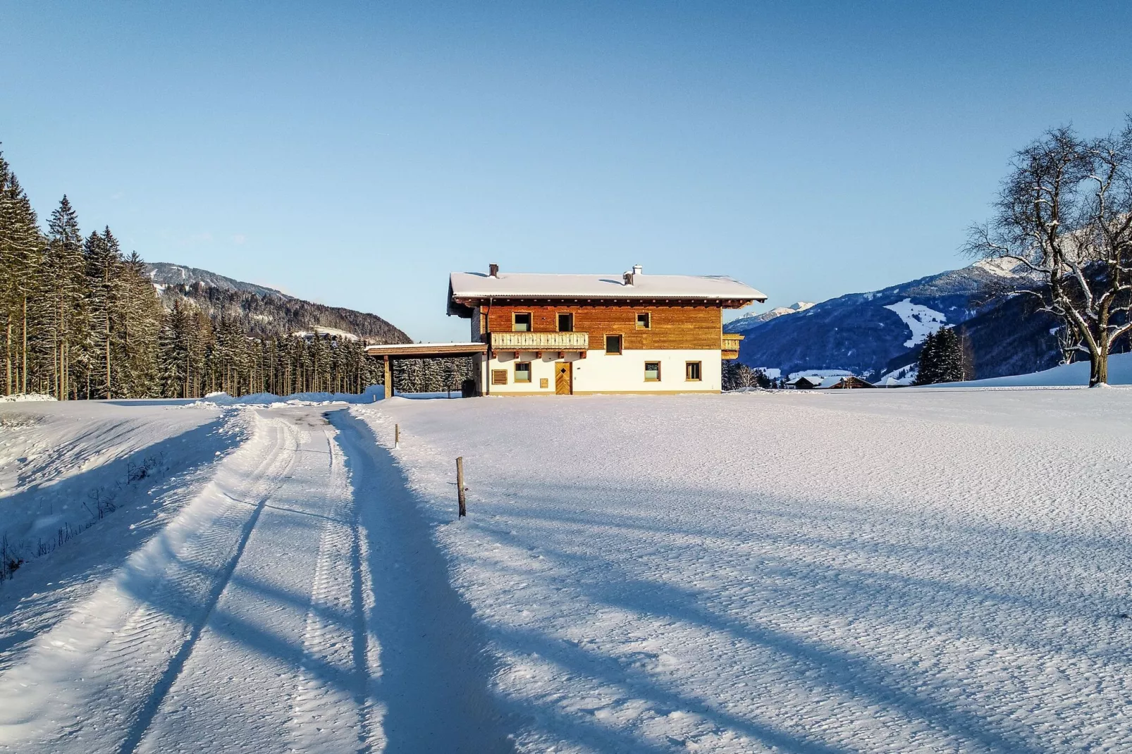 Chalet Freiblick-Exterior winter