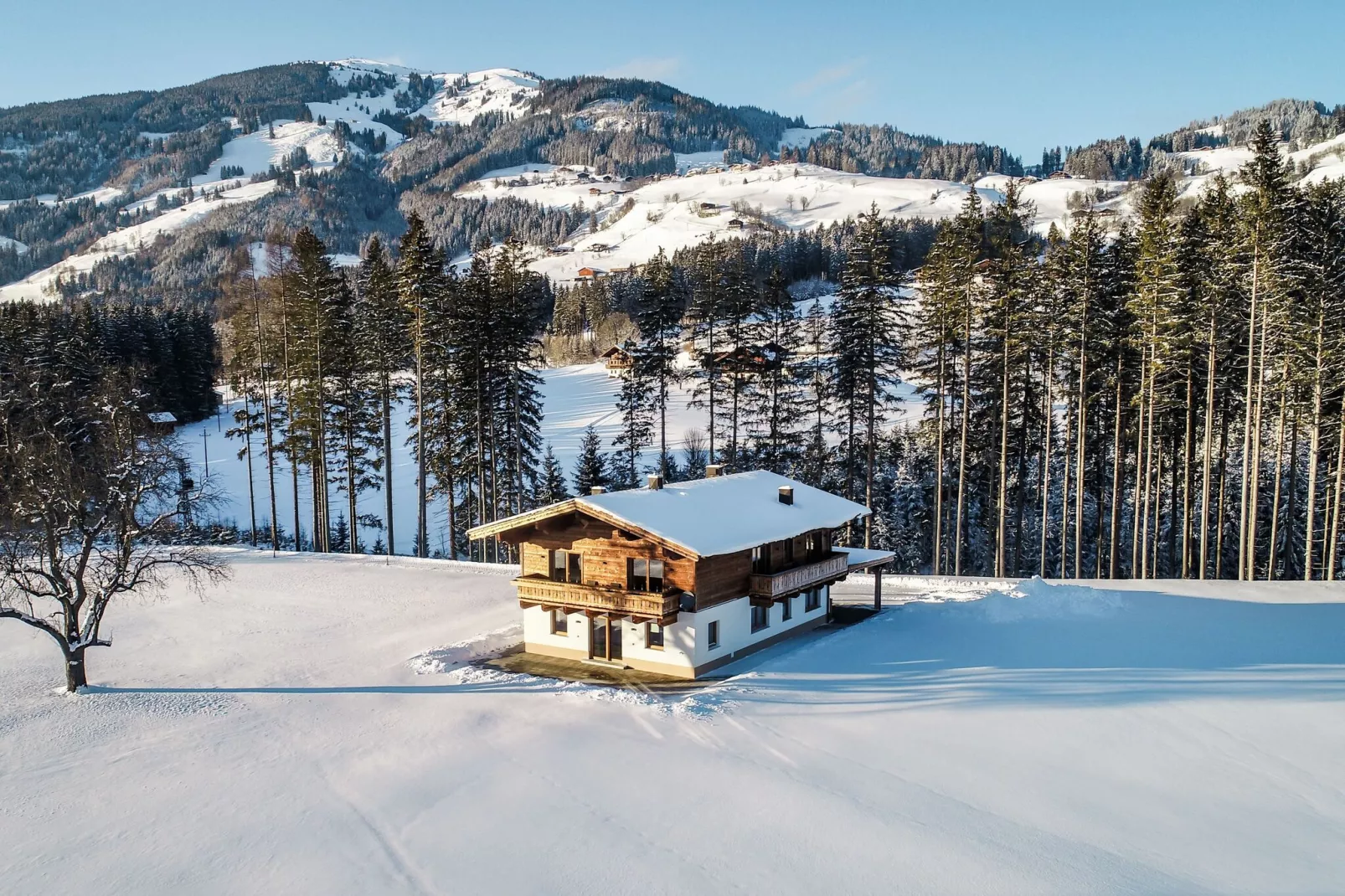 Chalet Freiblick-Exterior winter
